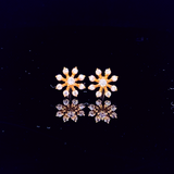 The Golden Ray Studs